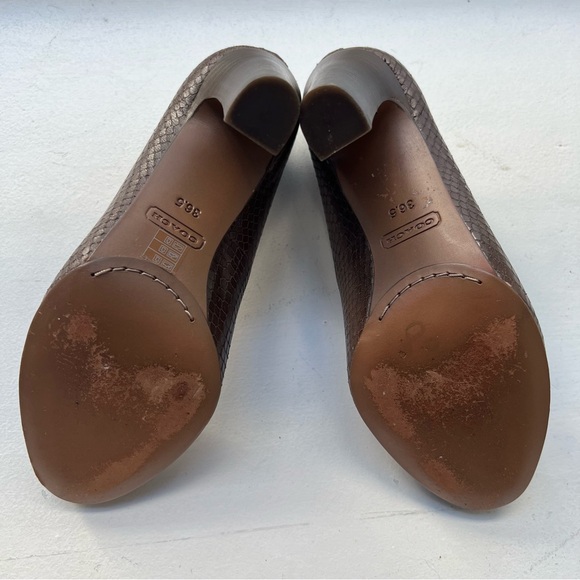 Coach brown python heels - Picture 5 of 5